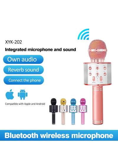 CLZ192 Bluetooth Karaoke Mikrofon (4172)