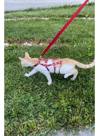 CLZ41 Full Body Kedi Harness, Kedi Gezdirme Tasması, Kedi Sokak Tasması - Ürün Rengi:Kırmızı