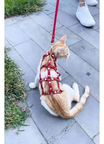 CLZ41 Full Body Kedi Harness, Kedi Gezdirme Tasması, Kedi Sokak Tasması - Ürün Rengi:Kırmızı