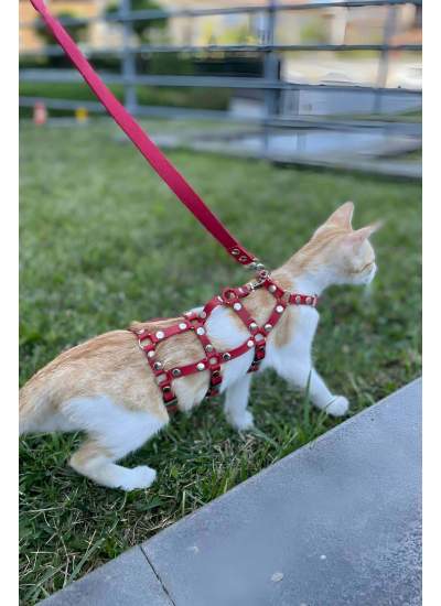 CLZ41 Full Body Kedi Harness, Kedi Gezdirme Tasması, Kedi Sokak Tasması - Ürün Rengi:Siyah