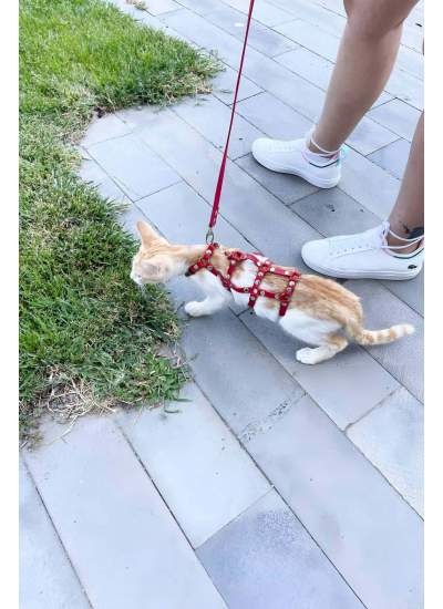 CLZ41 Full Body Kedi Harness, Kedi Gezdirme Tasması, Kedi Sokak Tasması - Ürün Rengi:Kırmızı