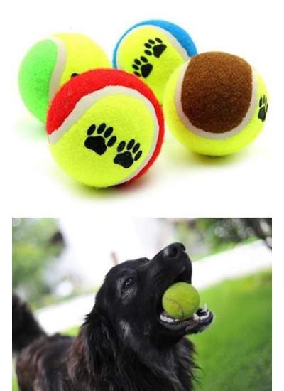 BUFFER®  3lü Renkli Desenli Tenis Topu Kedi Köpek Oyuncağı