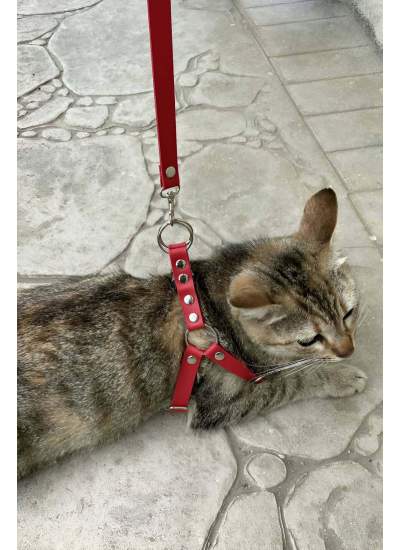 CLZ41 Deri Kedi Harness , Kedi Gezdirme Tasması - Ürün Rengi:Siyah