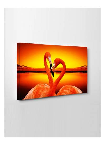 CLZ104 Flamingo (Harika bir hediyelik tablo)  (70 x 50) cm